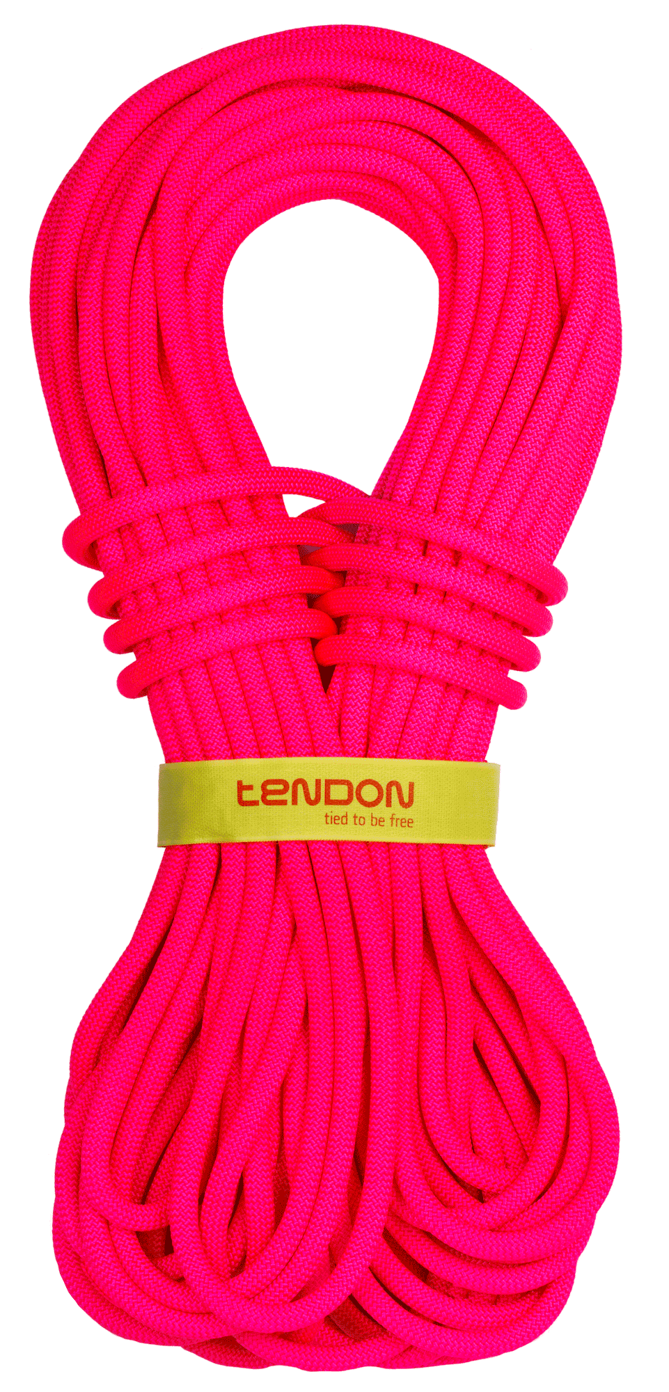  TENDON Master 8.6