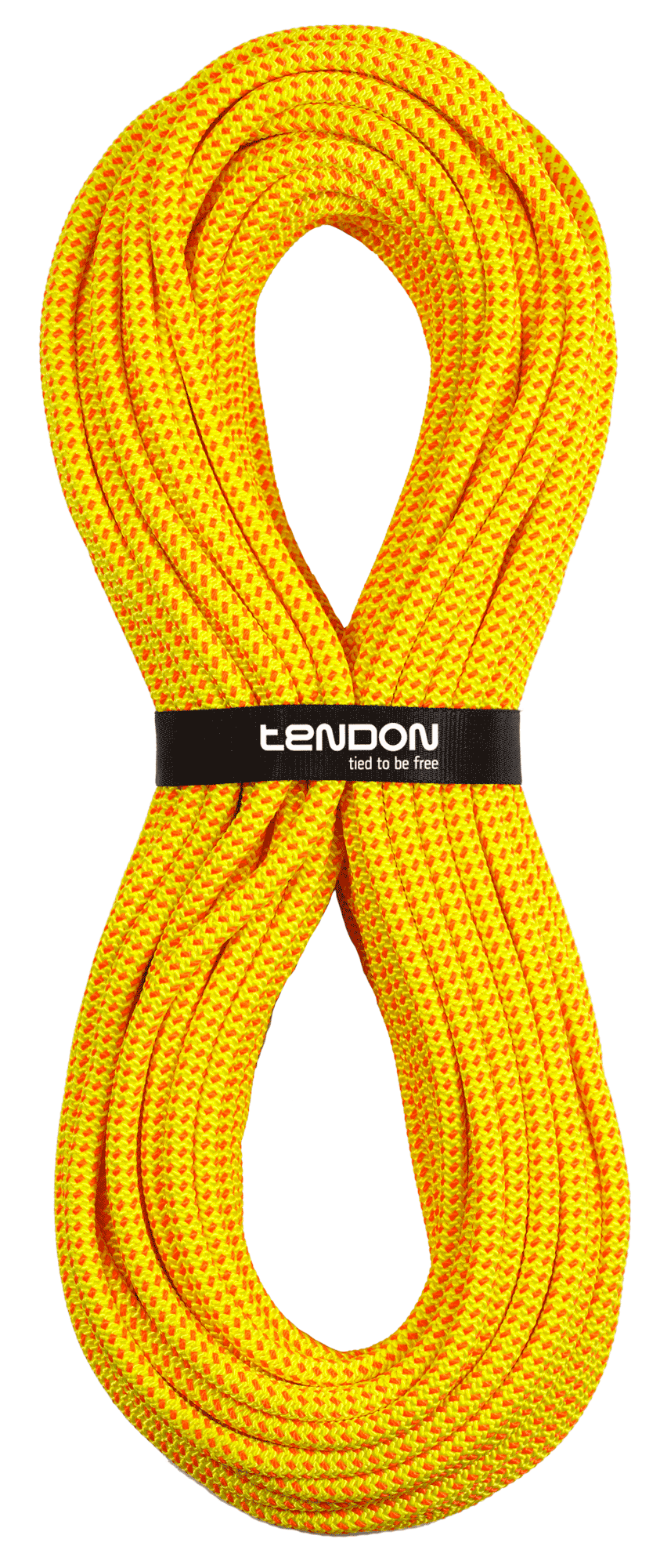 TENDON Timber EVO 11